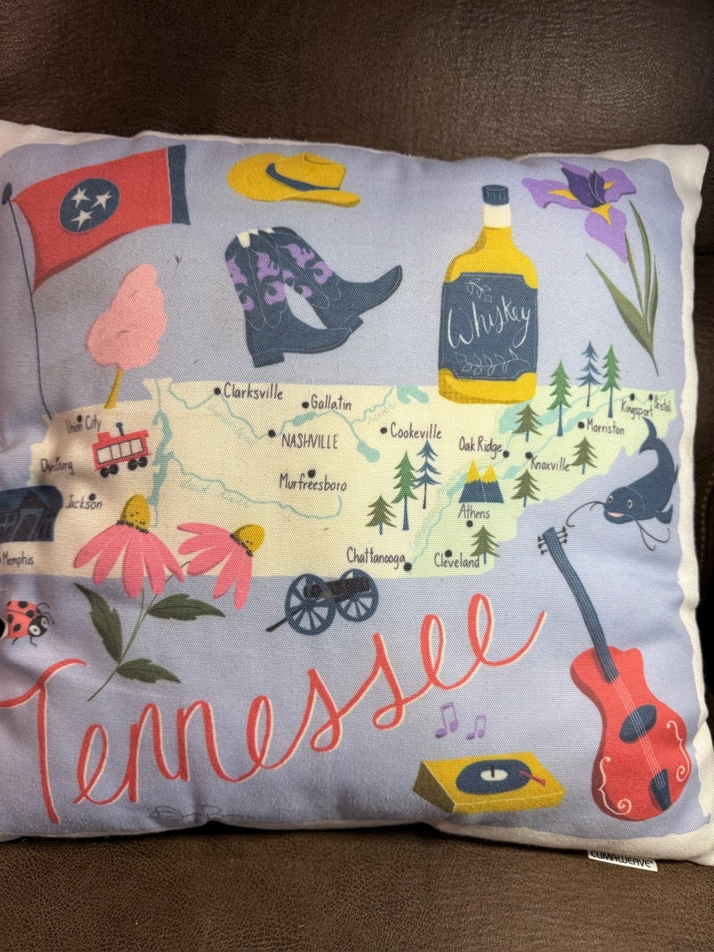Climaweave Tennessee Map Pillow 18" Indoor/Outdoor